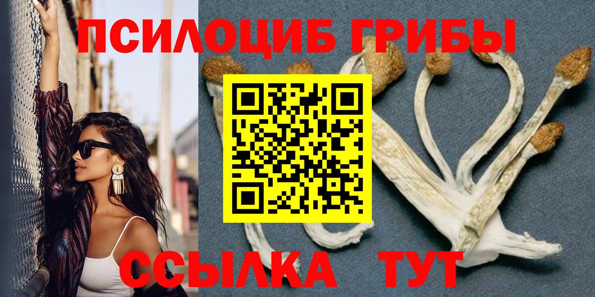 Галлюциногенные грибы Magic Shrooms Красногорск